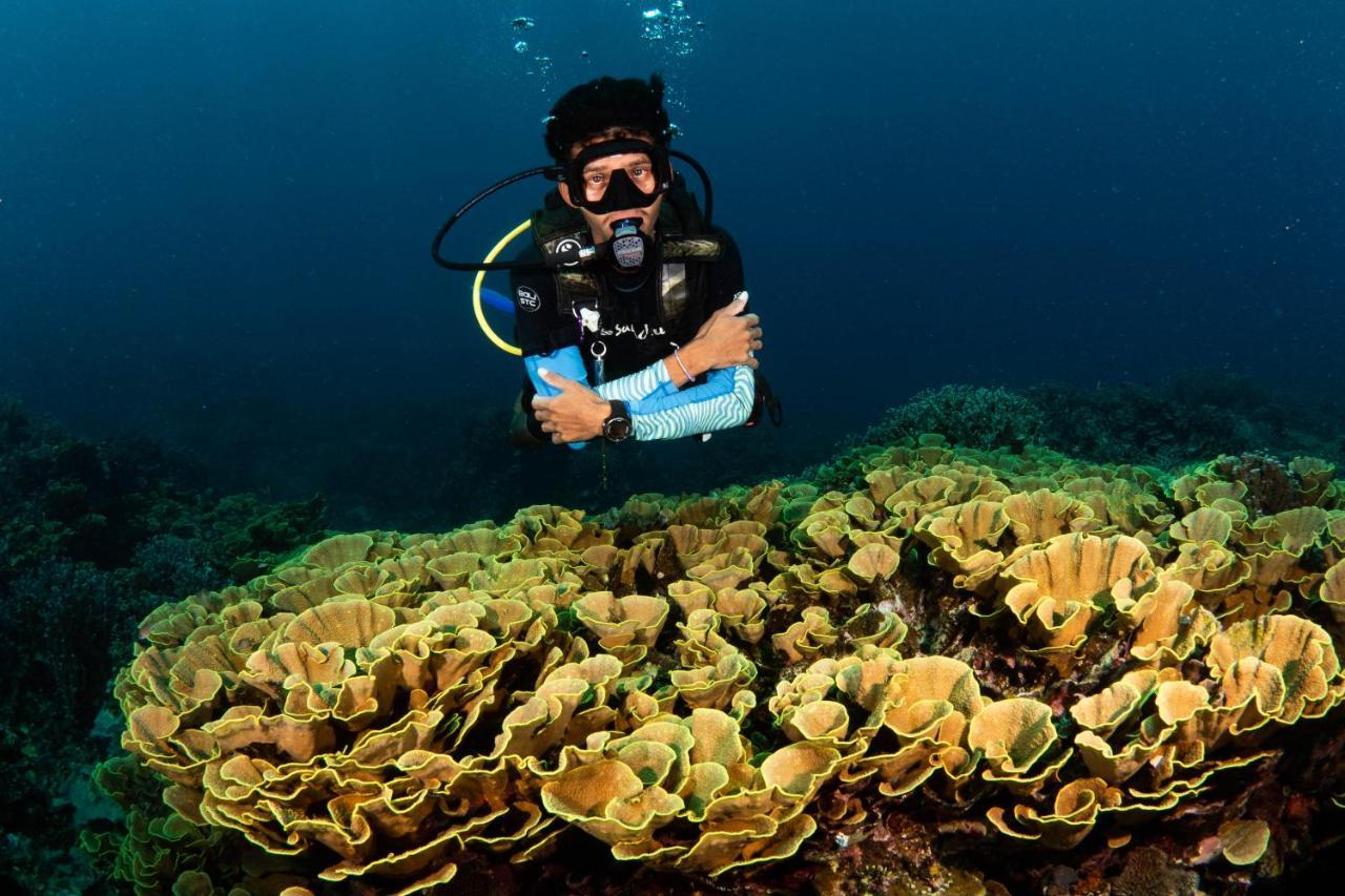 Sanctum Una Una Eco Dive Resort Pulau Unauna Eksteriør billede