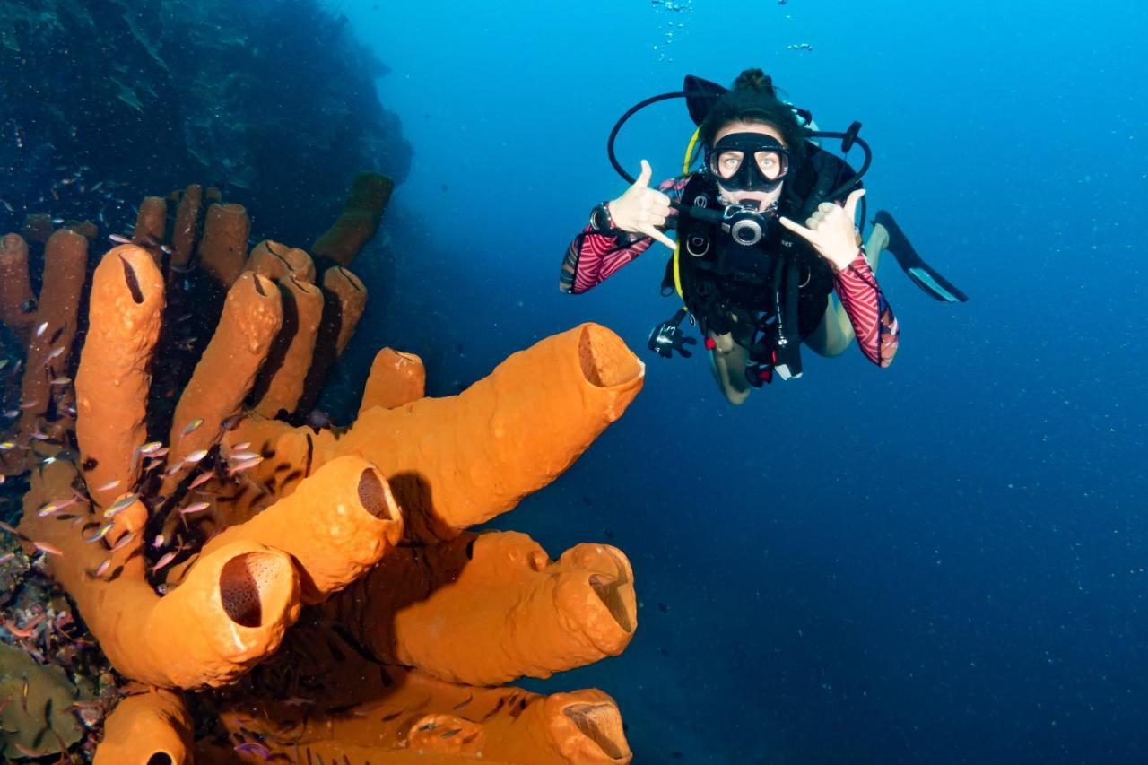 Sanctum Una Una Eco Dive Resort Pulau Unauna Eksteriør billede