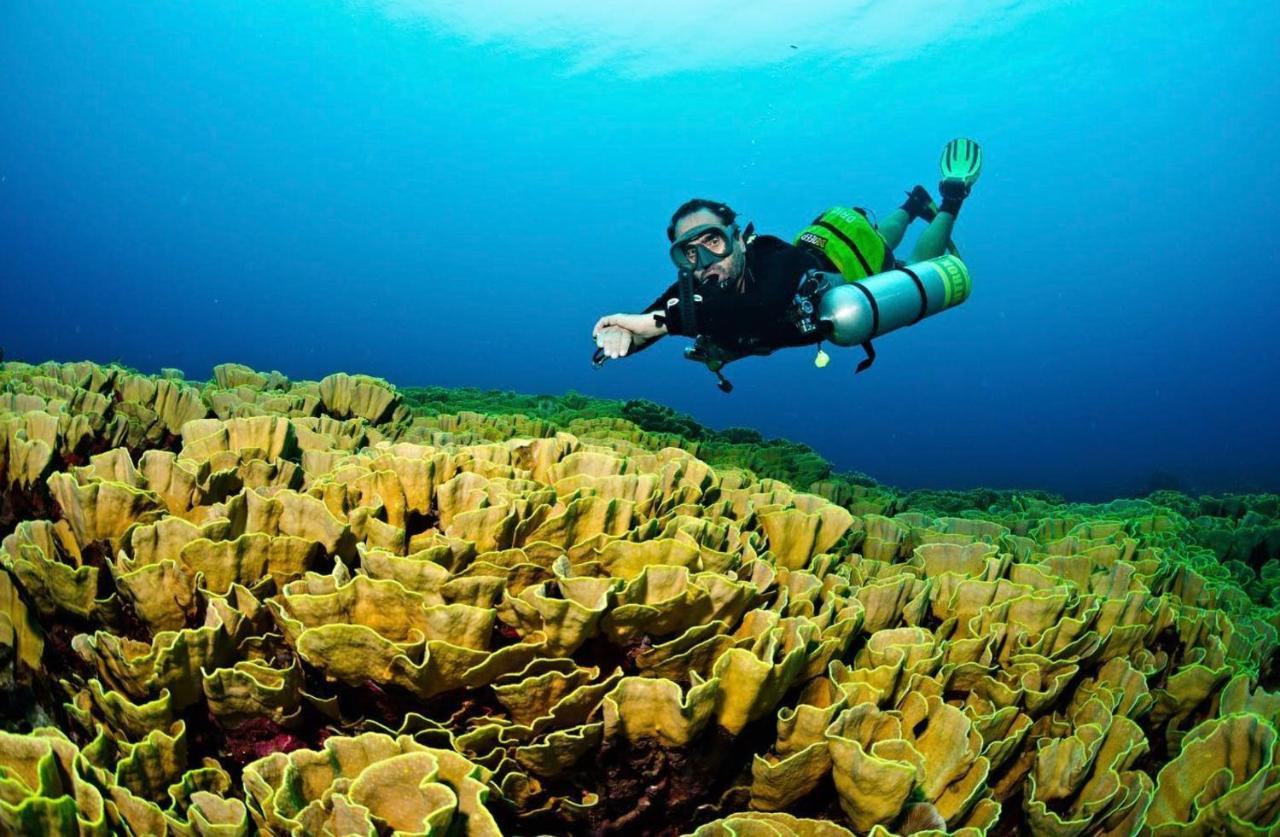 Sanctum Una Una Eco Dive Resort Pulau Unauna Eksteriør billede
