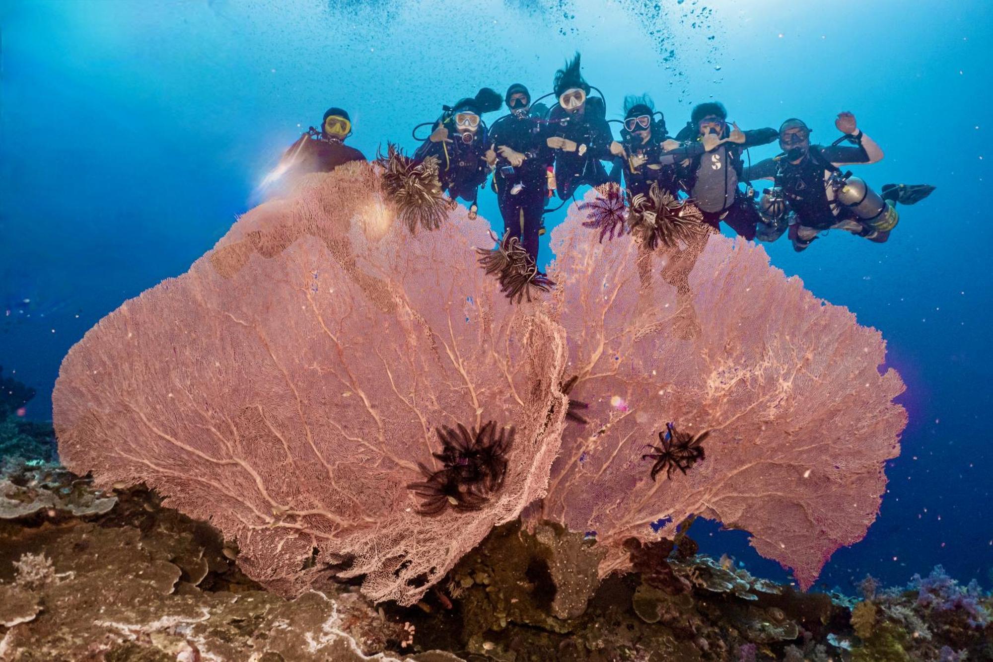 Sanctum Una Una Eco Dive Resort Pulau Unauna Eksteriør billede