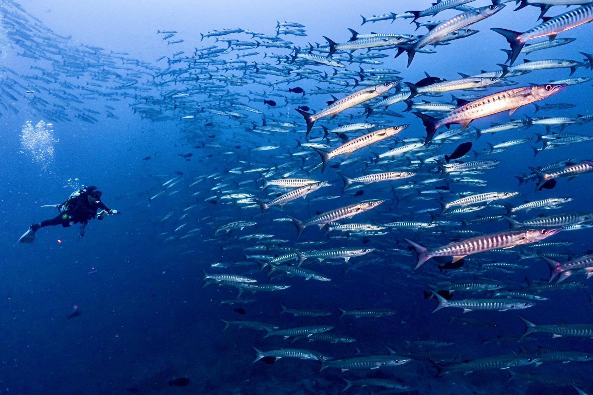 Sanctum Una Una Eco Dive Resort Pulau Unauna Eksteriør billede
